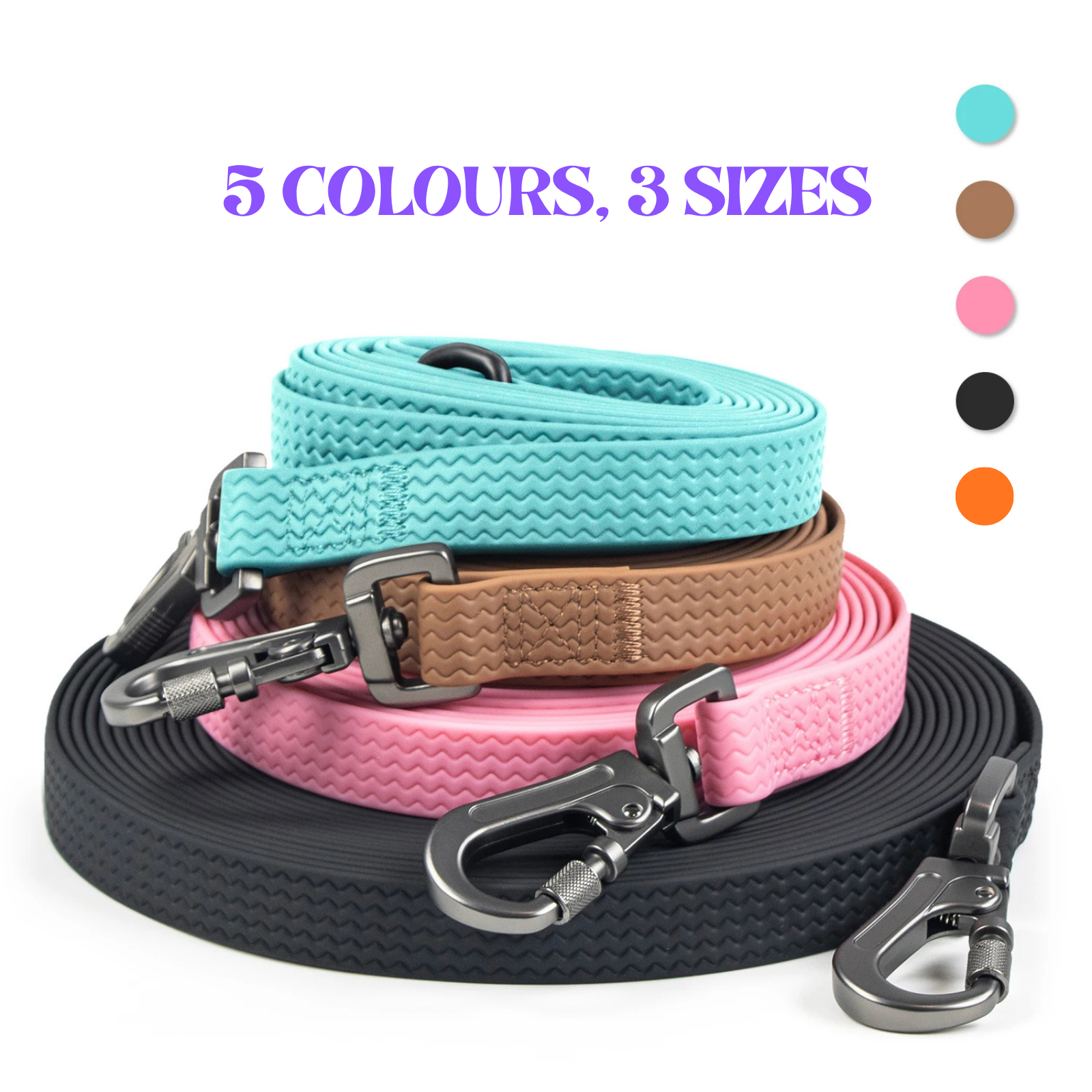 PawSecure Long Training Leash