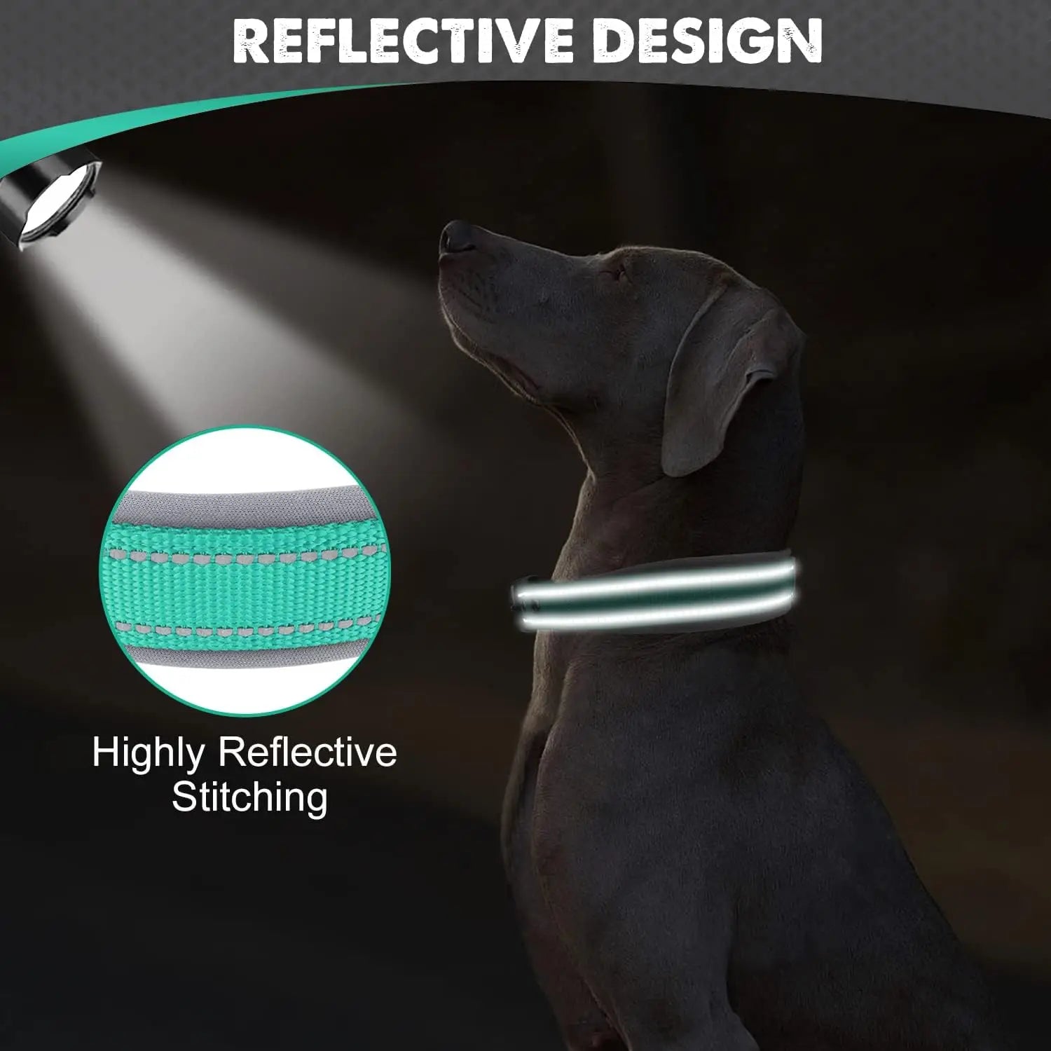BrightPaw Reflective Dog Collar