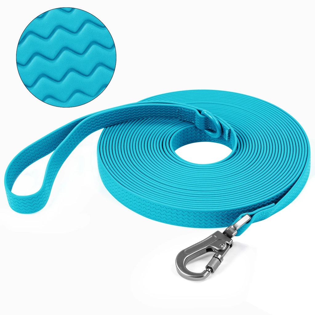 PawSecure Long Training Leash