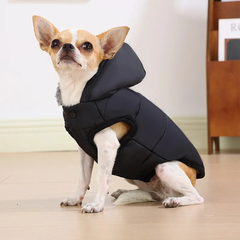 The CozyPup Winter Jacket