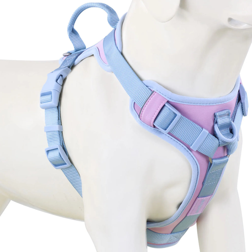 SecureFit Dog Harness