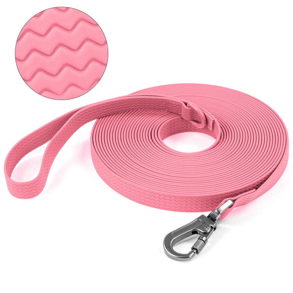PawSecure Long Training Leash